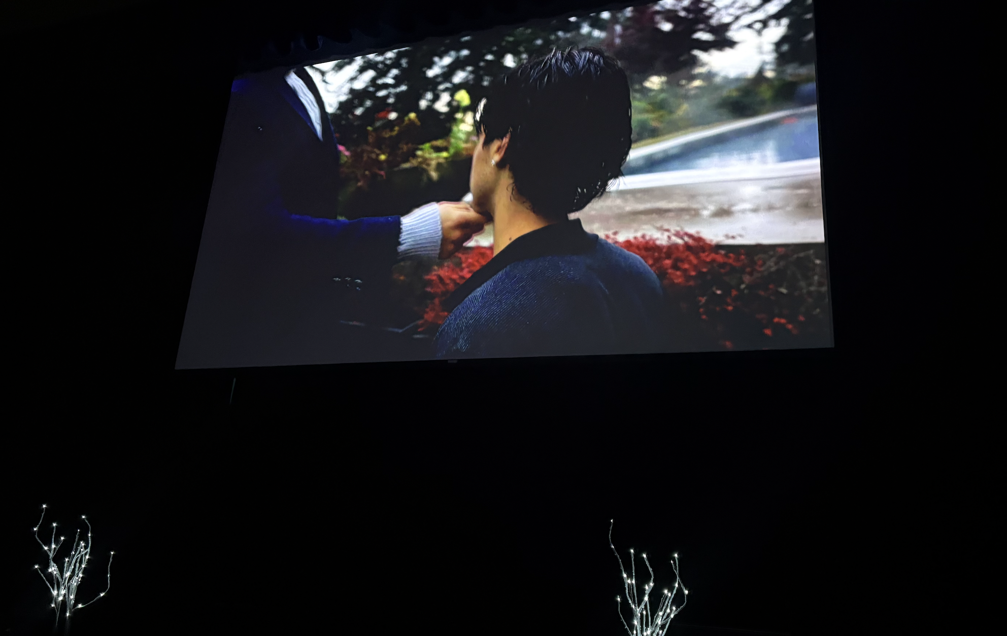 Film screening at Zoom Film Festival